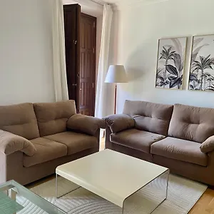 Centro- San Agustin Apartamento